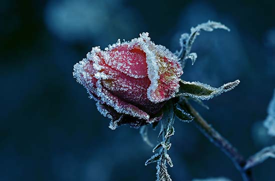 Những bài thơ về mùa đông