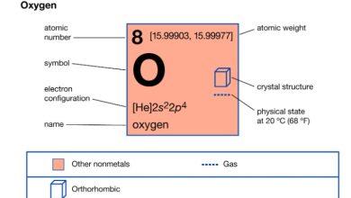 Tính chất hóa học của oxi